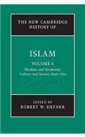 The New Cambridge History of Islam