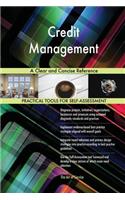 Credit Management A Clear and Concise Reference