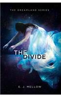 The Divide