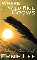 Where the Wild Rice Grows