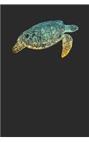 Turtle Colors: Turtles Notebook, Dotted Bullet (6 x 9 - 120 pages) Animal Themed Notebook for Daily Journal, Diary, and Gift