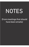 NOTES (from meetings that should have been emails)
