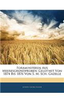Foraminiferen Aus Meeresgrundproben