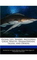 Ocean Life