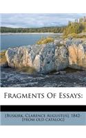 Fragments of Essays