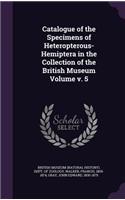 Catalogue of the Specimens of Heteropterous-Hemiptera in the Collection of the British Museum Volume v. 5