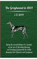 The Greyhound In 1864 - Being The Second Edition Of A Treatise On The Art Of Breeding, Rearing, And Training Greyhounds For Public Running, Their Diseases And Treatment