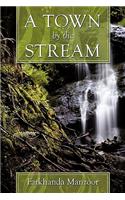 Town by the Stream
