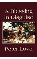 A Blessing in Disguise: (English)