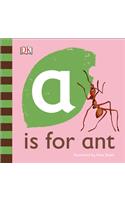A is for Ant