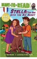 Stella