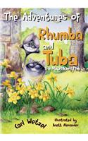The Adventures of Rhumba and Tuba