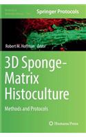 3D Sponge-Matrix Histoculture