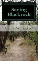 Saving Blackrock