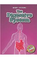 The Digestive System