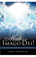 Made in the Imago Dei!