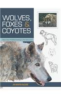 Wolves, Foxes & Coyotes (Wildlife Painting Basics)