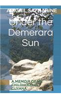 Under the Demerara Sun: A Memoir of My Childhood in Guyana