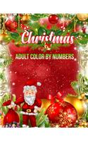 Christmas Adult Color By Numbers: a beautiful coloring book with Christmas