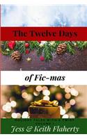 Twelve Days of Fic-Mas