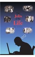 The Jobs of My Life