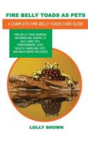 Fire Belly Toads as Pets