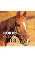 Horses Calendar 2018: 16 Month Calendar