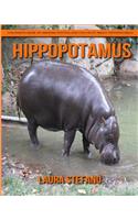 Hippopotamus