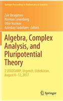 Algebra, Complex Analysis, and Pluripotential Theory