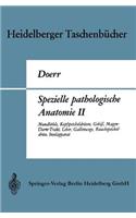 Spezielle Pathologische Anatomie II