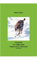 Lince - 3 X 3 Monate