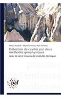 Détection de Cavités Par Deux Méthodes Géophysiques