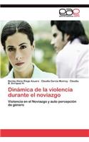 Dinámica de la violencia durante el noviazgo