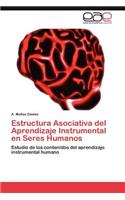 Estructura Asociativa del Aprendizaje Instrumental En Seres Humanos