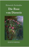 Die Rose von Disentis