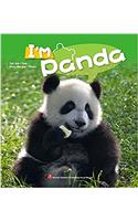 Hello, Im Panda