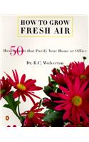 How to Grow Fresh Air: 50 House Plants That Purify Your Home or Office