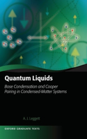 Quantum Liquids