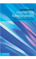 Fundamentals of Polymer-Clay Nanocomposites