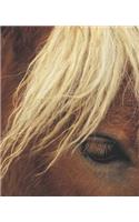 Horse Photo School Composition Book Equine Horse White Mane: Horse Photo Equine Covers Composition Books Notebooks (Notebook, Diary, Blank Book)