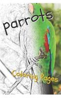 Parrot Coloring Pages: Beautiful Parrots Drawings for Kids and for Adults Relaxation