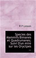 Species Des Mammifs Bimanes Et Quadrumanes; Suivi D'Un Mire Sur Les Oryctpes ..