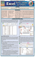 Excel: Pivot Tables & Charts