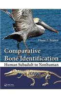 Comparative Bone Identification