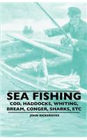 Sea Fishing - Cod, Haddocks, Whiting, Bream, Conger, Sharks, Etc