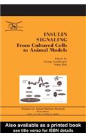 Insulin Signaling