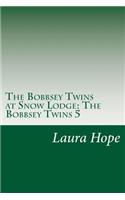 The Bobbsey Twins at Snow Lodge