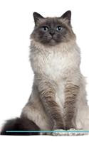 Birman Cat Affirmations Workbook Birman Cat Presents: Positive and Loving Affirmations Workbook. Includes: Mentoring Questions, Guidance, Supporting You.