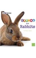 Caring for Rabbits