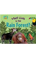 What Lives in the Rain Forest?